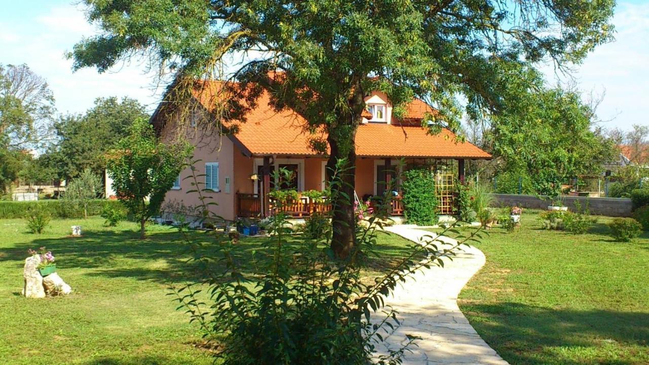 Villa Tinov Dvor Brisevo Exterior photo